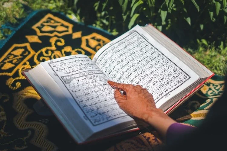 Best Quran for Beginners
